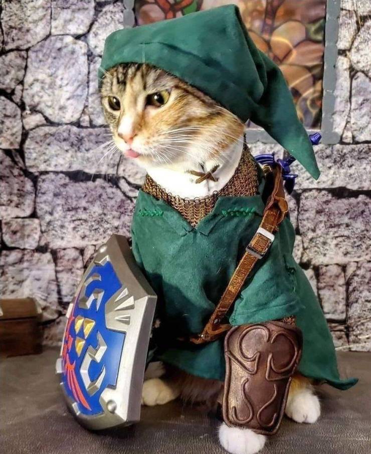 daily picdump 99 pics 38.html - 99 HD Photos | Premium Gallery 2019