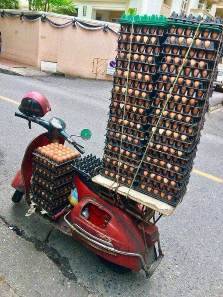 daily picdump 99 pics 38.html - 99 HD Photos | Premium Gallery 2019