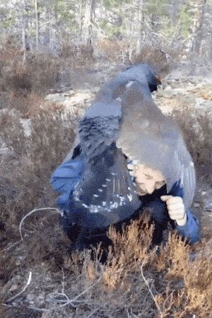 Put That Phone Down And Help Me!