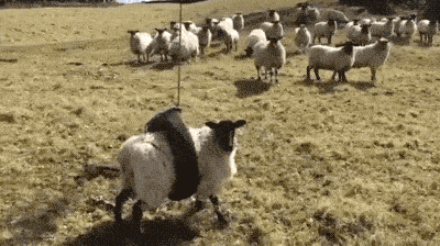 Put That Phone Down And Help Me!