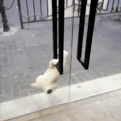 Put That Phone Down And Help Me!