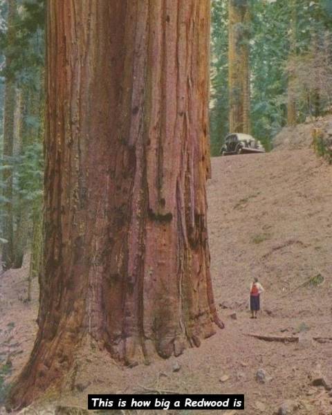 page,27,top 750 daily pics of the year 2019.html - 1 HD Photos | Premium Gallery 2019