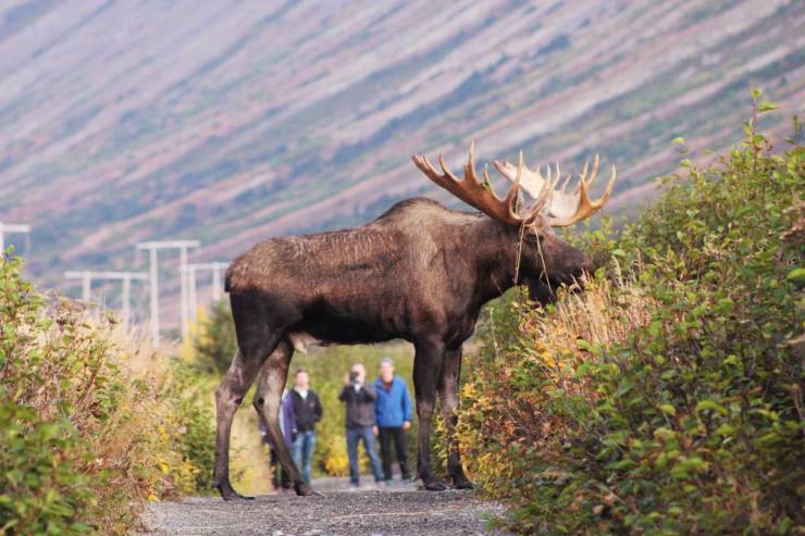 daily picdump 102 pics 27.html - 102 HD Photos | Premium Gallery 2019