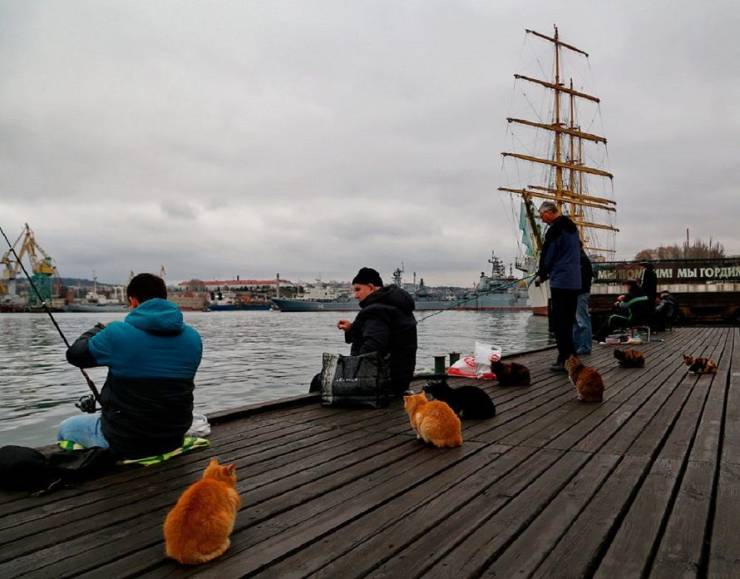 daily picdump 102 pics 27.html - 102 HD Photos | Premium Gallery 2019