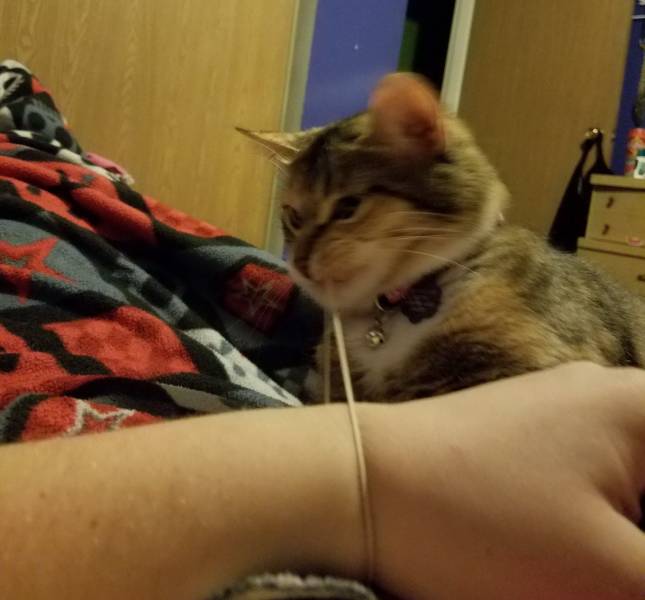 daily picdump 102 pics 27.html - 102 HD Photos | Premium Gallery 2019