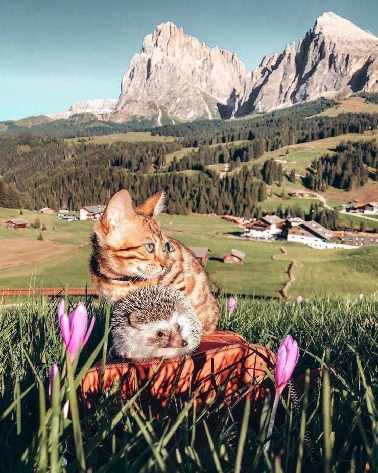 daily picdump 102 pics 27.html - 102 HD Photos | Premium Gallery 2019