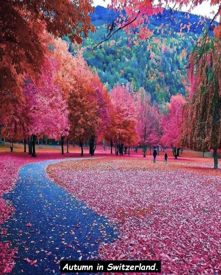 daily picdump 102 pics 27.html - 102 HD Photos | Premium Gallery 2019