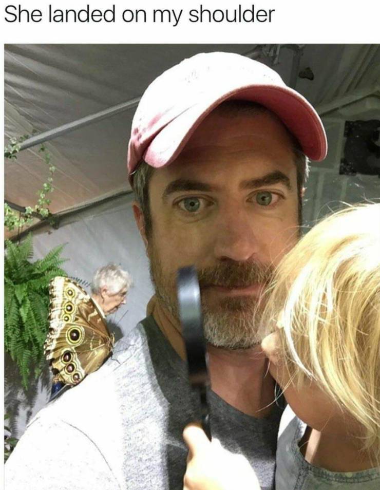 daily picdump 102 pics 27.html - 102 HD Photos | Premium Gallery 2019