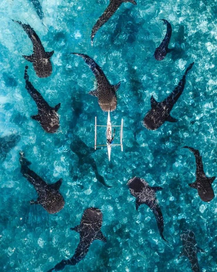 daily picdump 102 pics 27.html - 102 HD Photos | Premium Gallery 2019