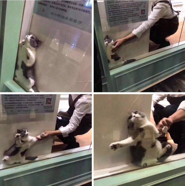 daily picdump 102 pics 27.html - 102 HD Photos | Premium Gallery 2019