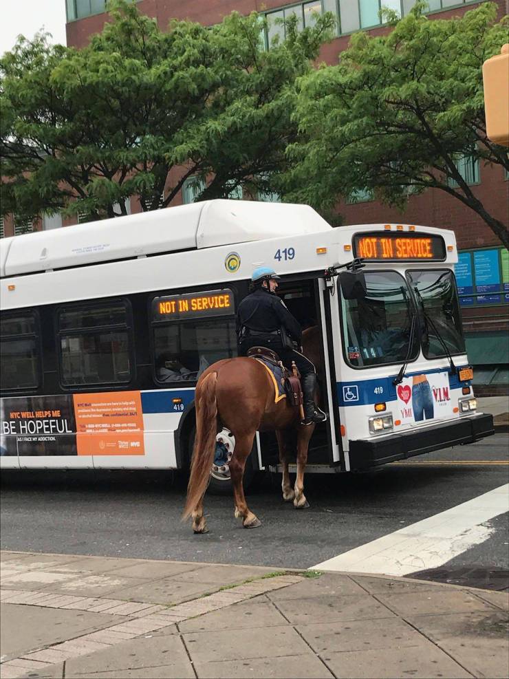 daily picdump 102 pics 27.html - 102 HD Photos | Premium Gallery 2019