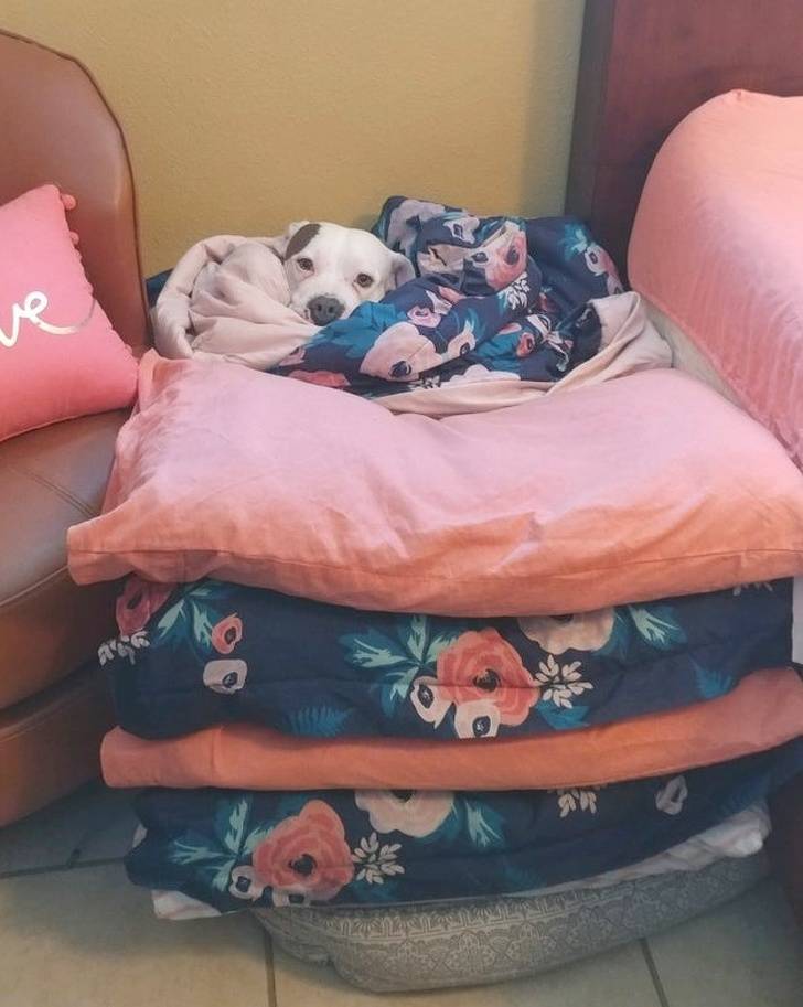 Men Are Simple Creatures