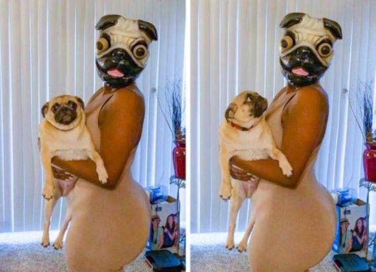 daily picdump 94 pics 19.html - 94 HD Photos | Premium Gallery 2019