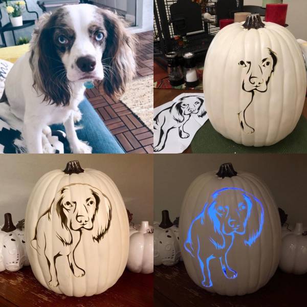 daily picdump 94 pics 19.html - 94 HD Photos | Premium Gallery 2019