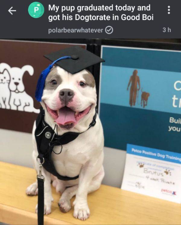 daily picdump 94 pics 19.html - 94 HD Photos | Premium Gallery 2019