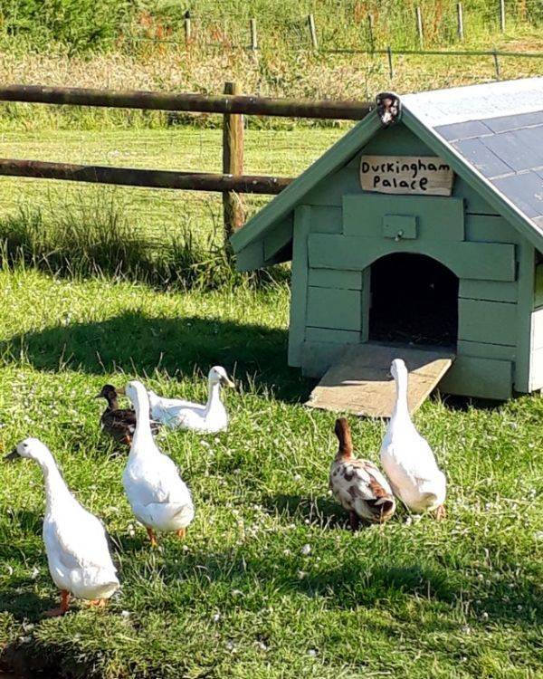 daily picdump 94 pics 19.html - 94 HD Photos | Premium Gallery 2019