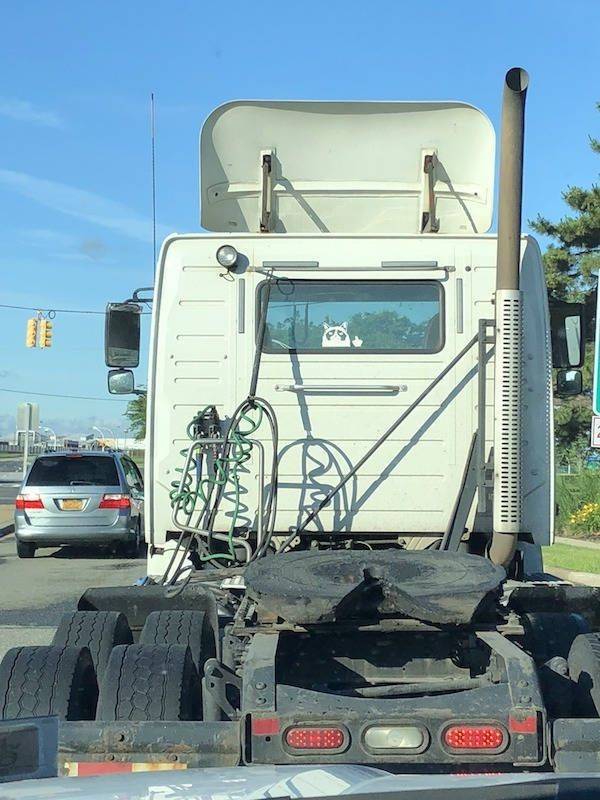 daily picdump 94 pics 19.html - 94 HD Photos | Premium Gallery 2019