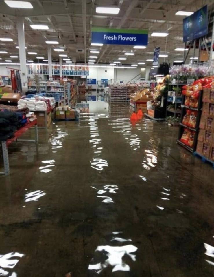 daily picdump 94 pics 19.html - 94 HD Photos | Premium Gallery 2019