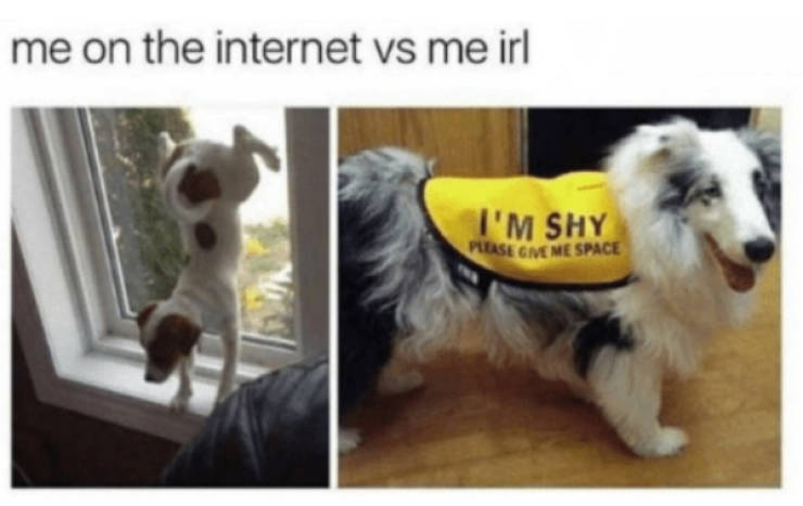 Real Life You Vs. Internet You