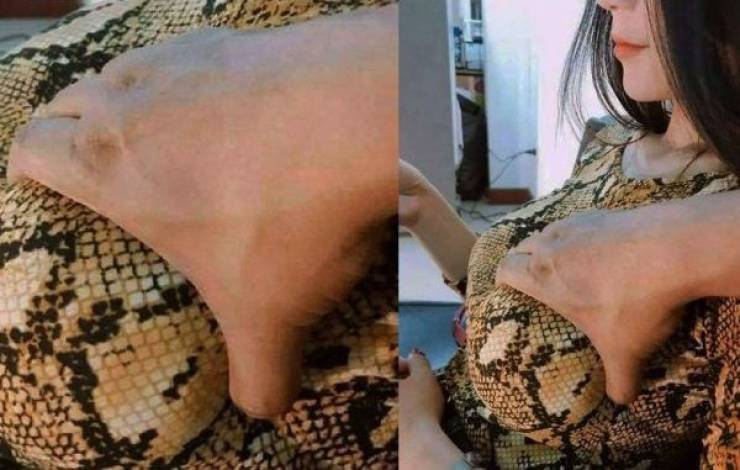 grownup corner 67 pics 15.html - 67 HD Photos | Premium Gallery 2019