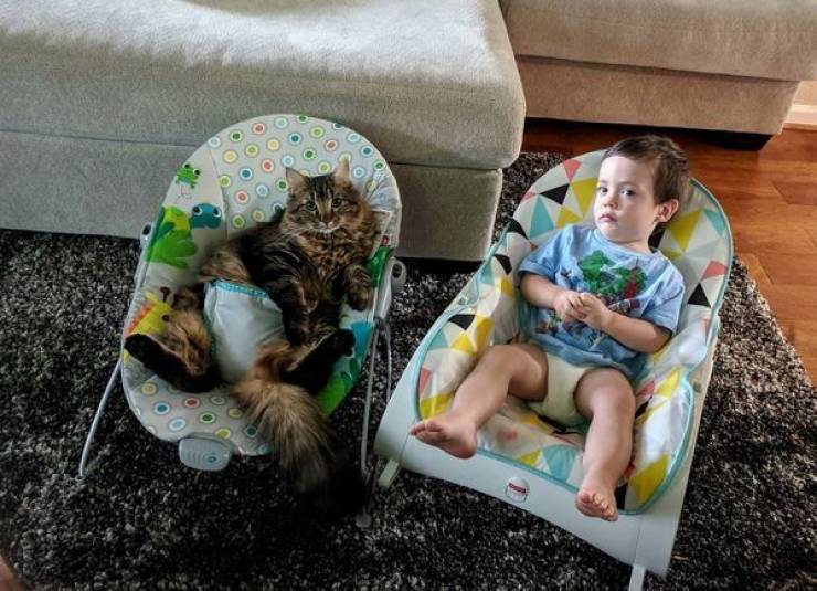 Animals Just Can’t Stop Being Funny