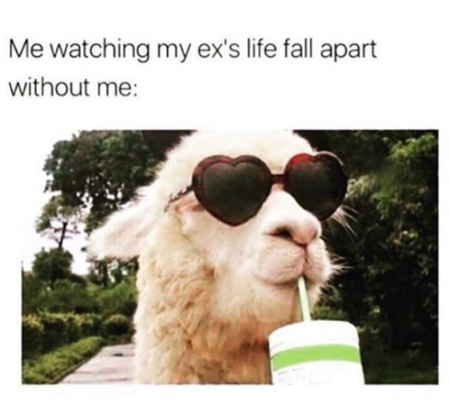 And How Was Your Ex?