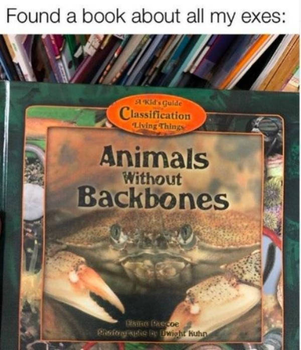 And How Was Your Ex?