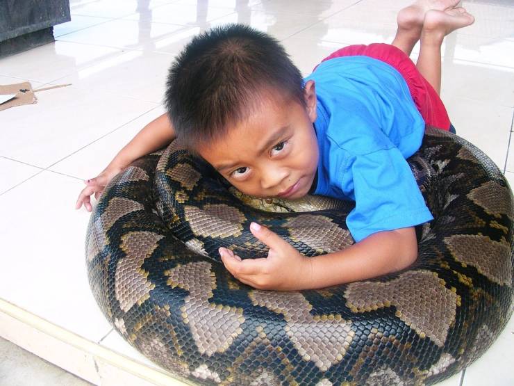 daily picdump 94 pics 1.html - 94 HD Photos | Premium Gallery 2019