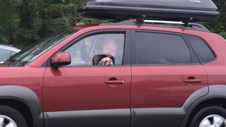 daily picdump 94 pics 1.html - 94 HD Photos | Premium Gallery 2019