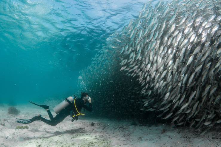 daily picdump 94 pics 1.html - 94 HD Photos | Premium Gallery 2019