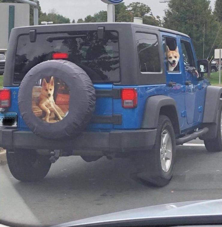 daily picdump 94 pics 1.html - 94 HD Photos | Premium Gallery 2019