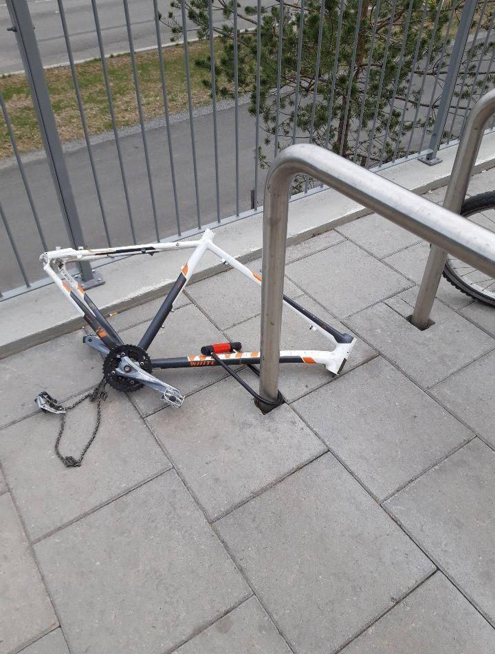 daily picdump 94 pics 1.html - 94 HD Photos | Premium Gallery 2019