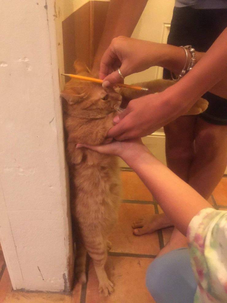 daily picdump 94 pics 1.html - 94 HD Photos | Premium Gallery 2019