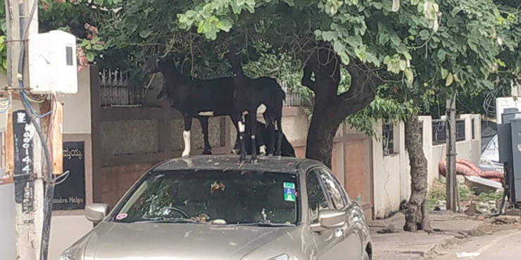 morning picdump 49 pics 3.html - 49 HD Photos | Premium Gallery 2019