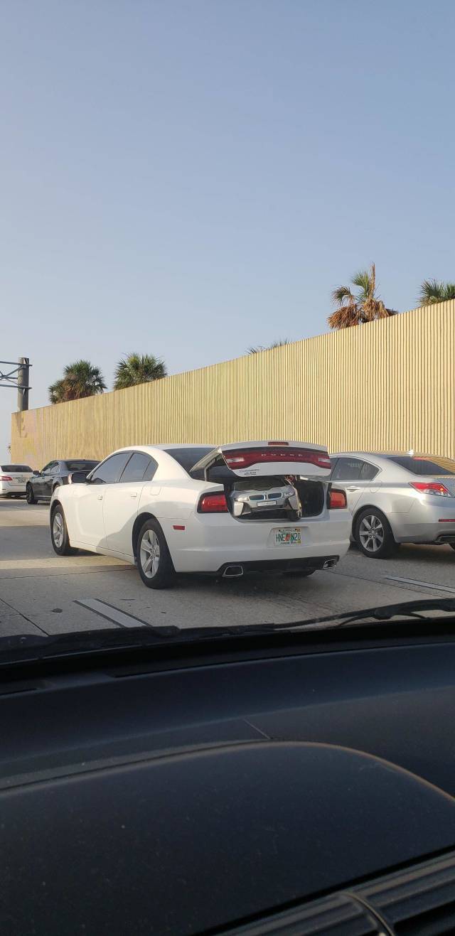 morning picdump 49 pics 3.html - 49 HD Photos | Premium Gallery 2019