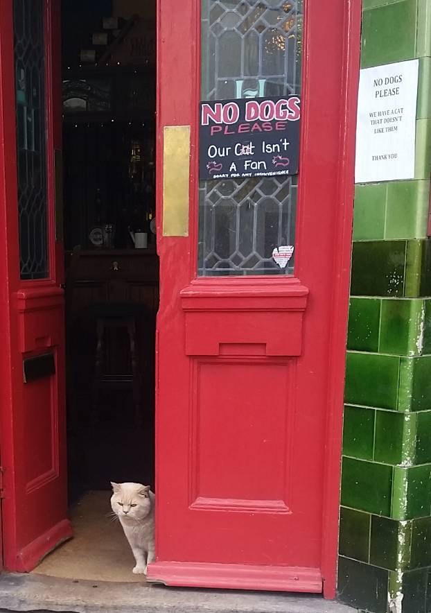 morning picdump 49 pics 3.html - 49 HD Photos | Premium Gallery 2019