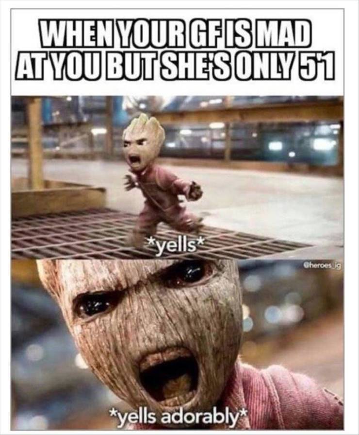 funny picdump 51 pics 22.html - 51 HD Photos | Premium Gallery 2019