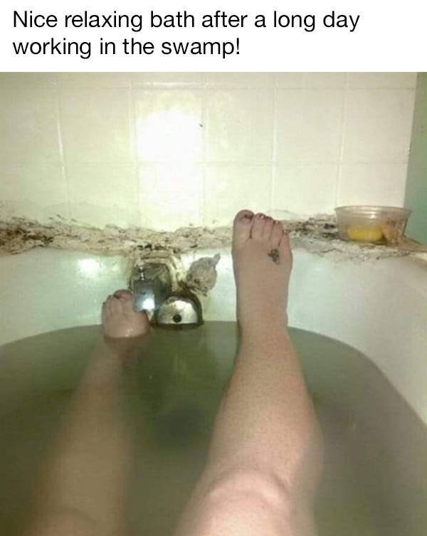 Looks Like A Big Fat Nope