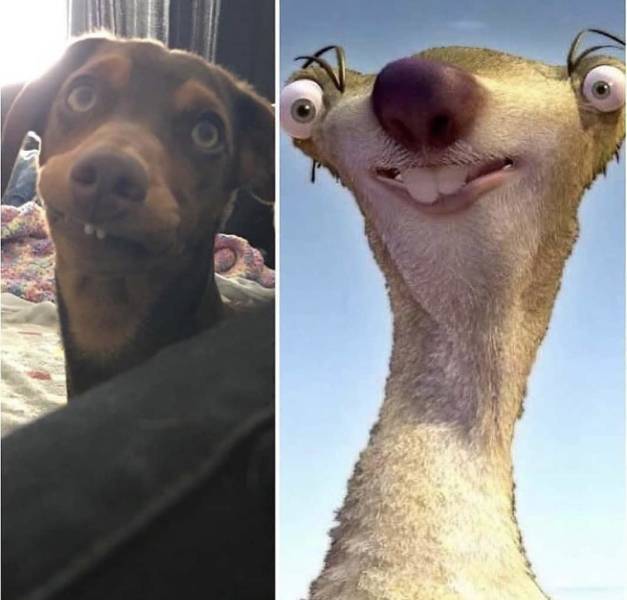 page,4,top 250 morning pics of the year 2019.html - 1 HD Photos | Premium Gallery 2019