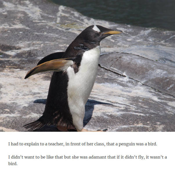 Really, This Needed To Be Explained To Adults?!