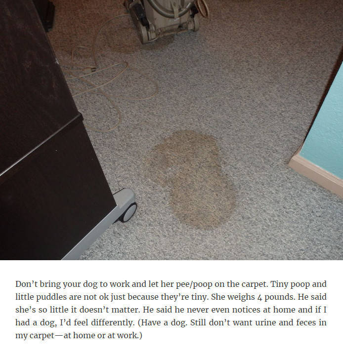 Really, This Needed To Be Explained To Adults?!