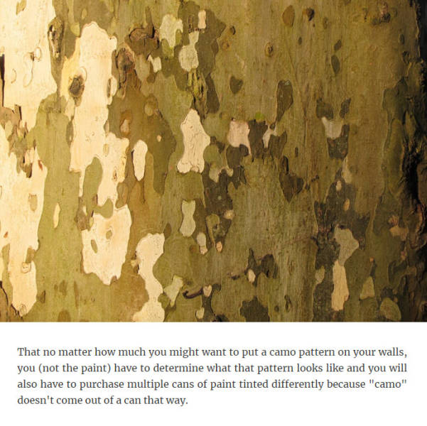 Really, This Needed To Be Explained To Adults?!