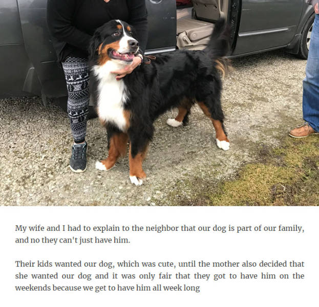 Really, This Needed To Be Explained To Adults?!