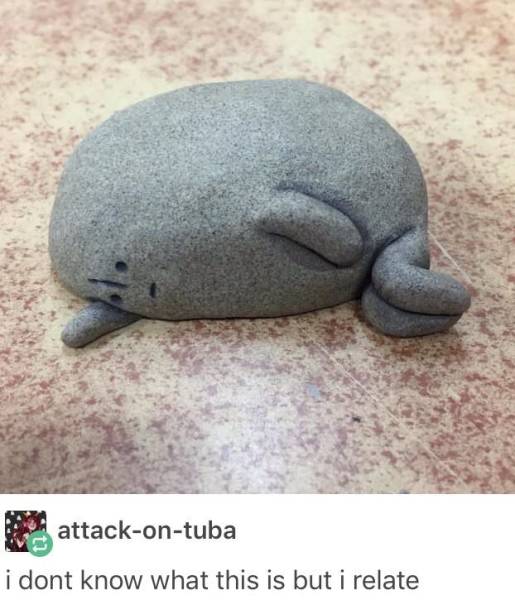 page,10,top 250 funny pics of the year 2019.html - 1 HD Photos | Premium Gallery 2019