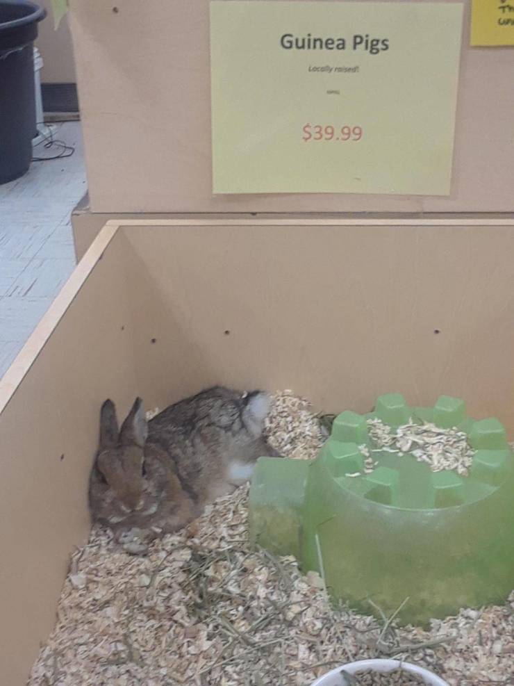 Nailed It…Almost…