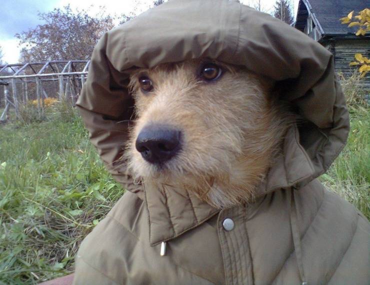 page,28,top 750 daily pics of the year 2019.html - 1 HD Photos | Premium Gallery 2019