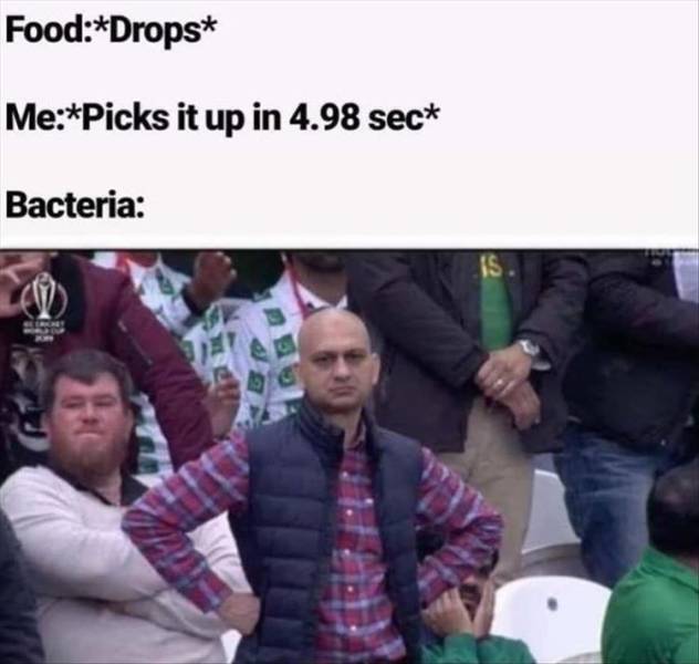 funny picdump 53 pics 6.html - 53 HD Photos | Premium Gallery 2019