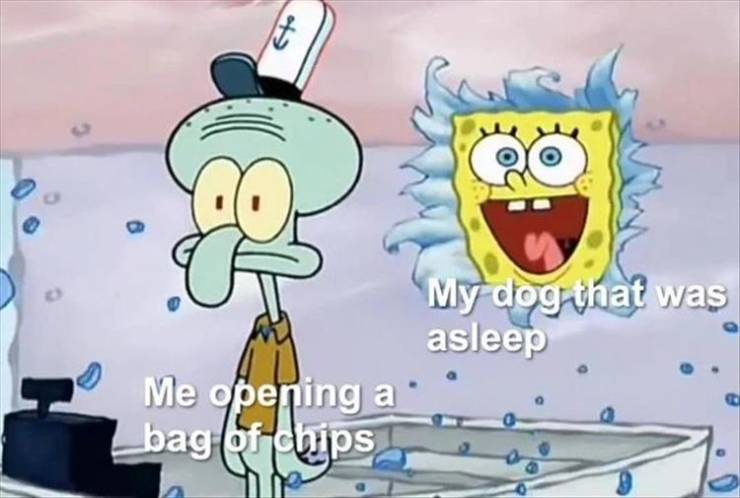 funny picdump 53 pics 6.html - 53 HD Photos | Premium Gallery 2019