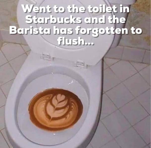 funny picdump 53 pics 6.html - 53 HD Photos | Premium Gallery 2019