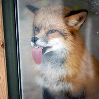 dirty mind come here 53 pics.html - 53 HD Photos | Premium Gallery 2020